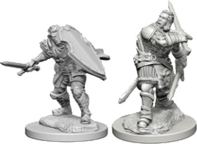 Nolzurs Marvelous Miniatures - Human Paladin